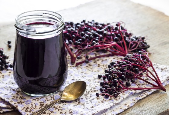 Best elderberry syrups