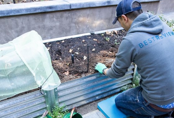 9 best greenhouse ideas to extend your grow season