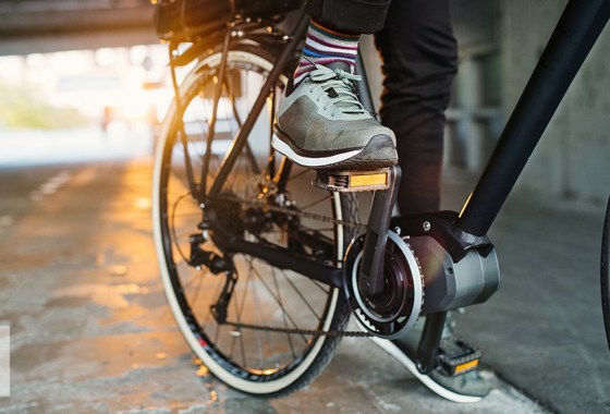 Schwinn adult tricycle vs. bicycle