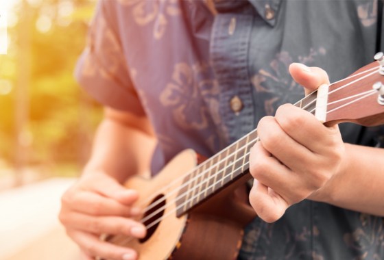 The best baritone ukulele