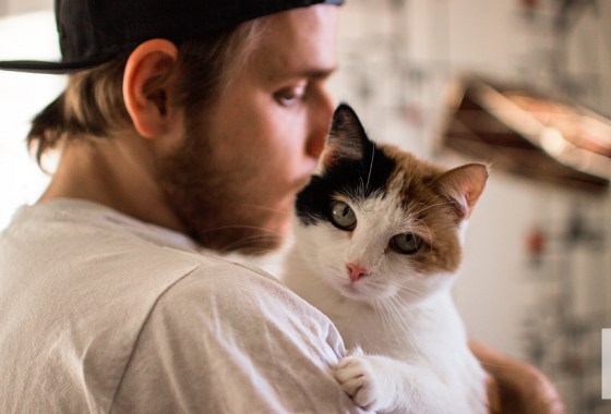 12 best budget gifts for cat lovers