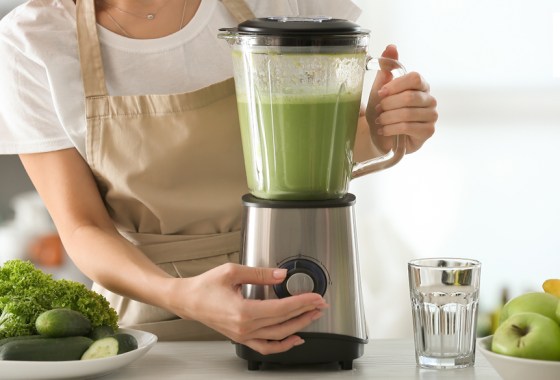 Best Breville blender