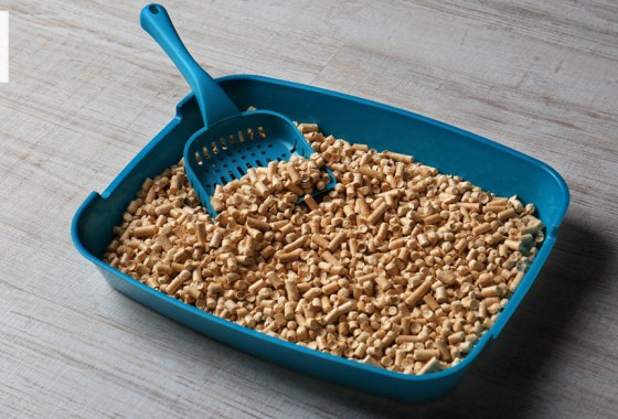 Best dust-free cat litter