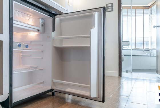 Best Frigidaire mini fridge