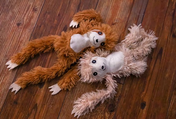 Best sloth toy