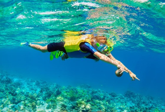 Best snorkel vest