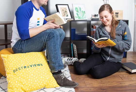 Best Wayfair throw pillows