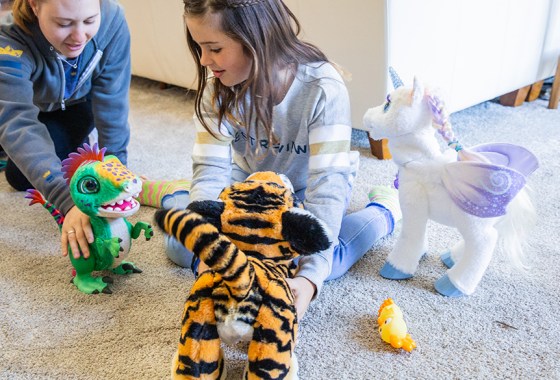 Best Star Belly Dream Lites