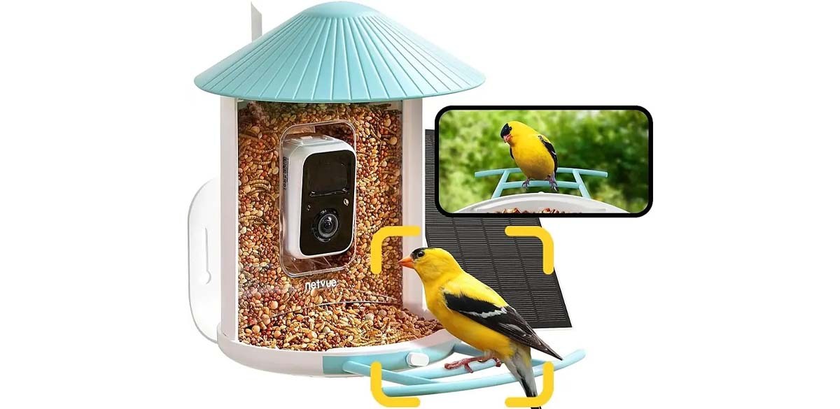 BIRDFY - Smart Wild Bird Feeder with Camera