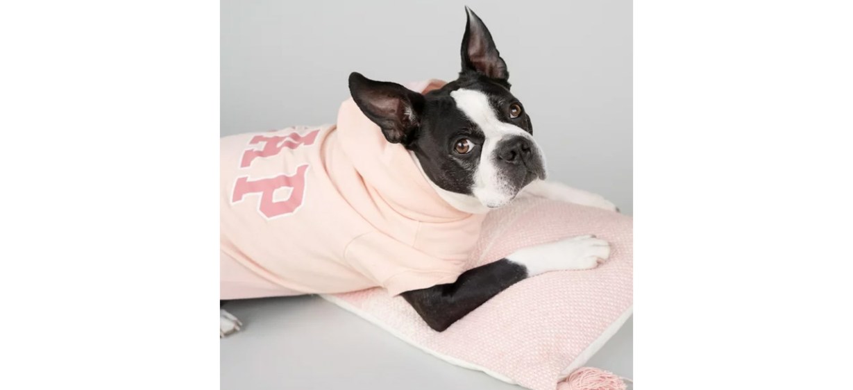 Dog wearing Classic Gap Logo Pet Hoodie, Pink