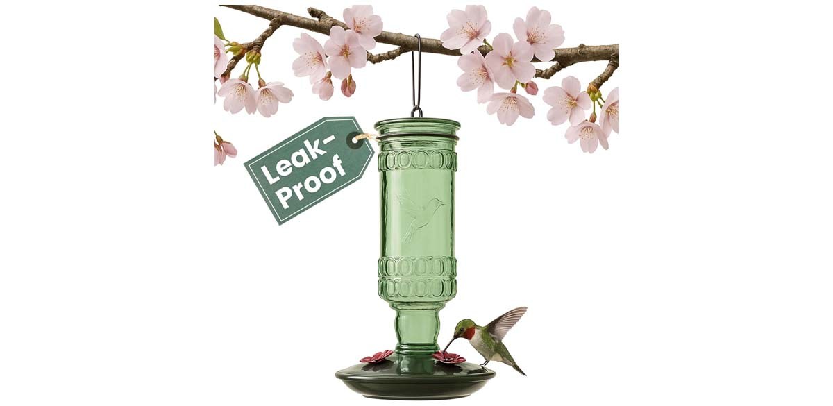 Perky-Pet Glass Bottle Hummingbird Feeder