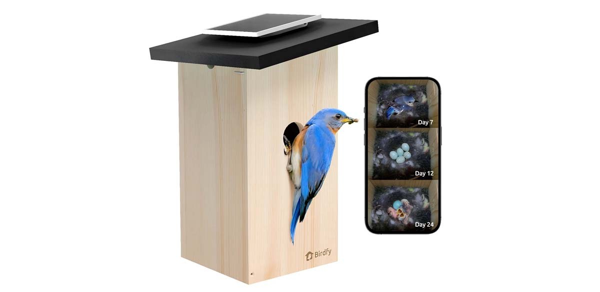Birdfy Smart Birdhouse