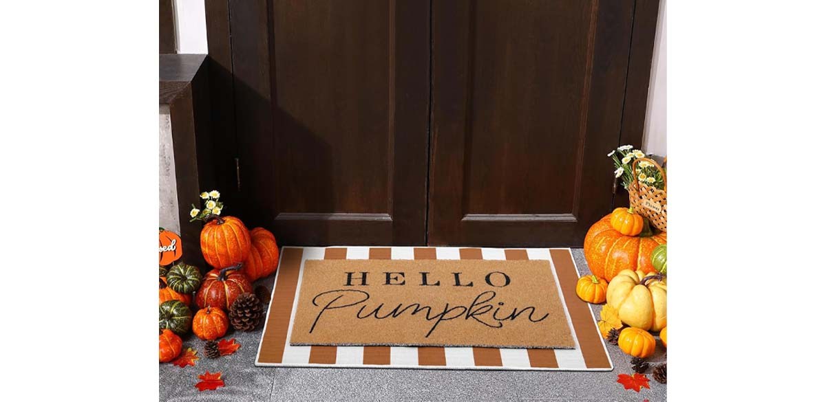 2 Pcs Welcome Door Mat 