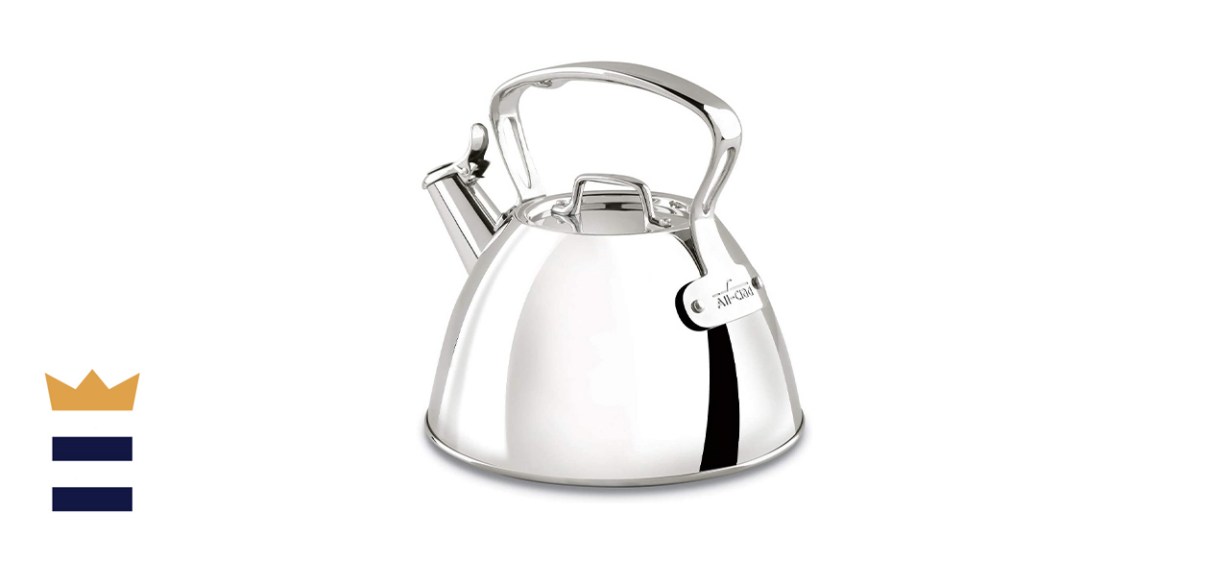 All-Clad Stainless Steel Tea Kettle