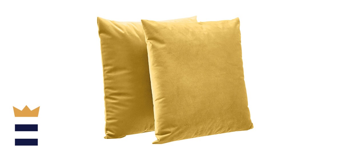 Amazon Basics Velvet Decorative Throw Pillows