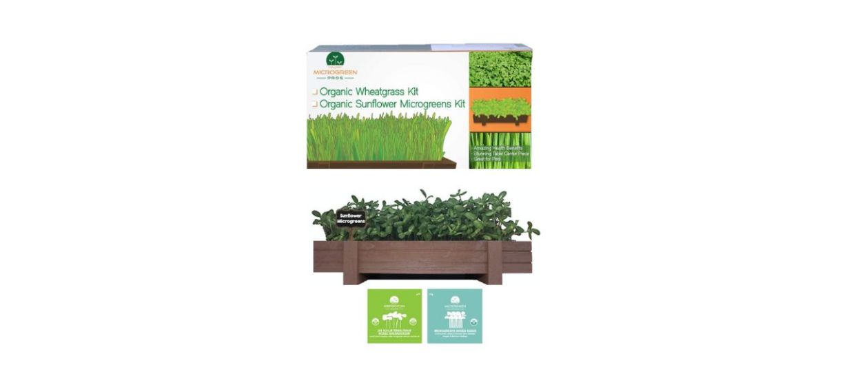 Microgreen Growing Kit Microgreen Growing Kit