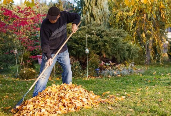 Best garden rake