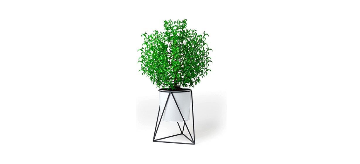 Best Kensington London Indoor Plant Stand with Pot
