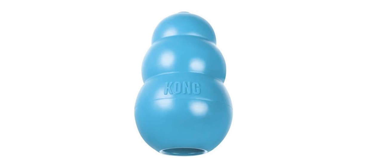 Kong Puppy Teething Toy