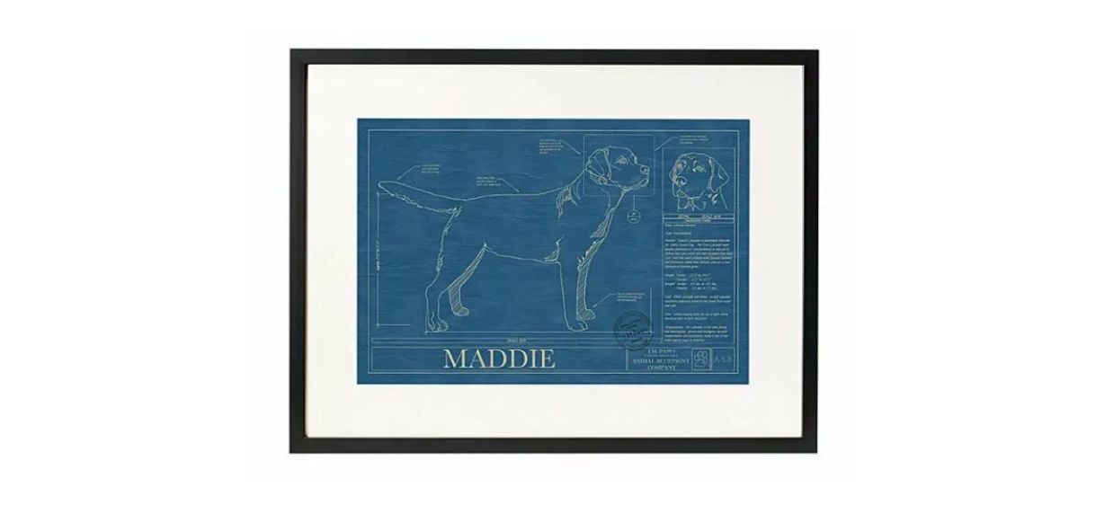 Uncommon Goods Personalized Dog Blueprints, framed, on white background