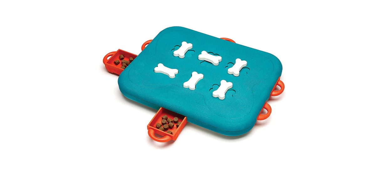 Leaps & Bounds Ponder & Puzzle Level 2 Dog Puzzle Toy, Large