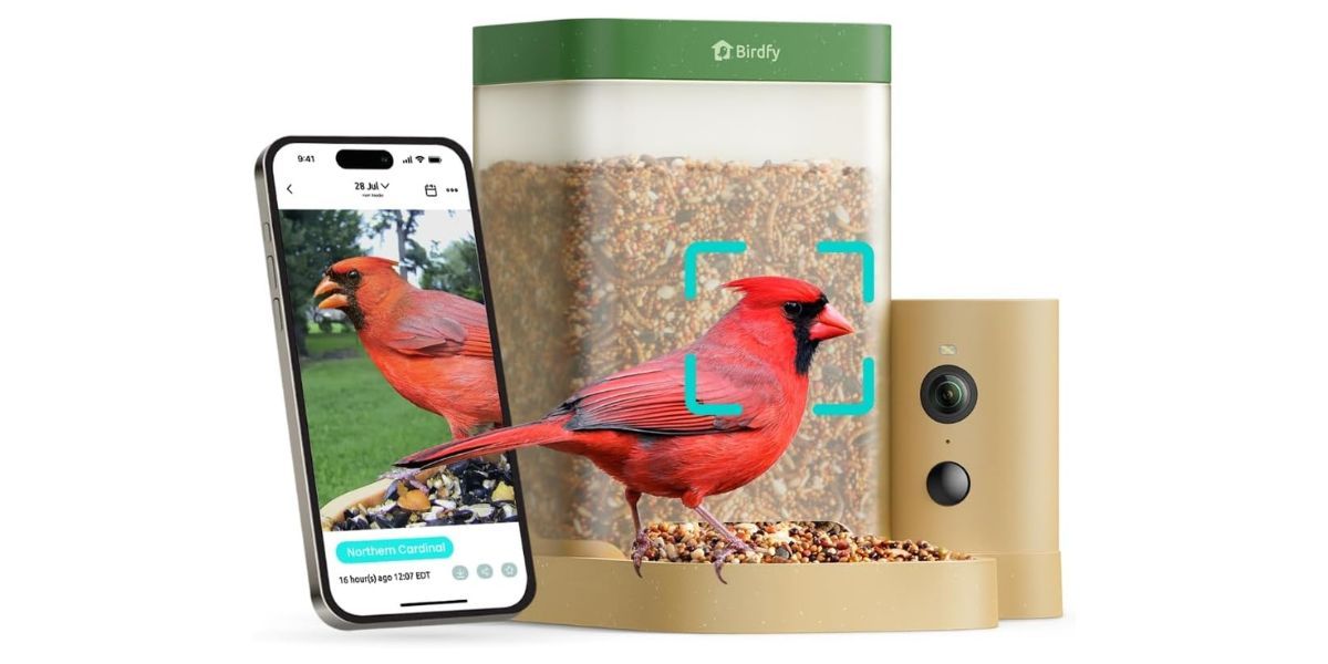 Birdfy Smart Bird Feeder with Camera for Rookie
