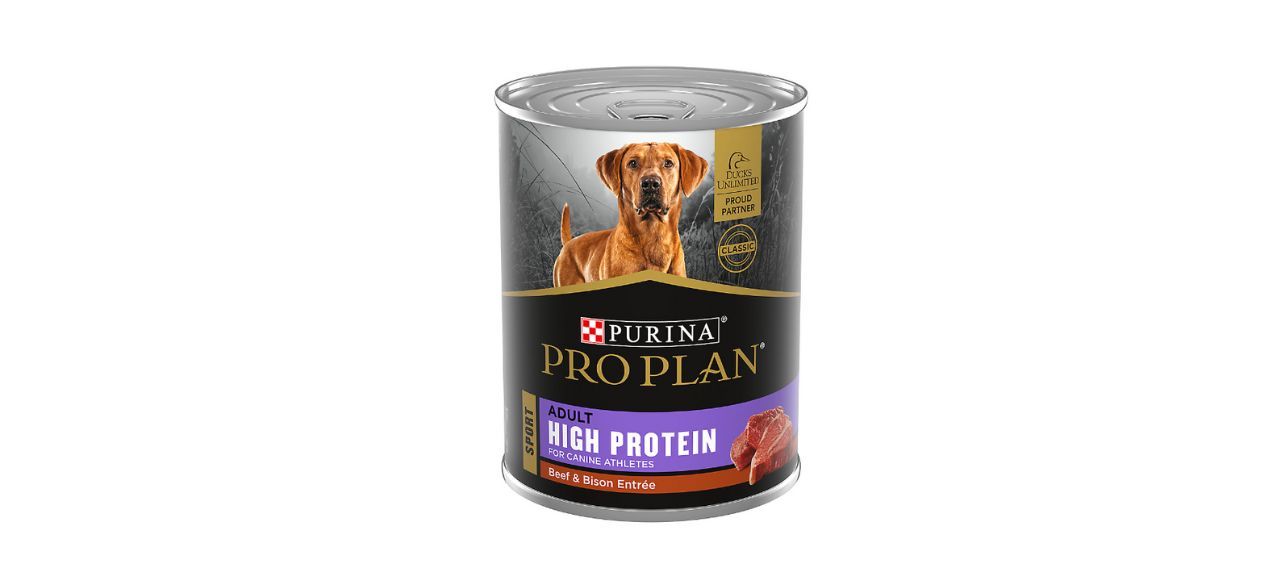 Blue Buffalo vs. Purina Pro Plan Which dog food is best