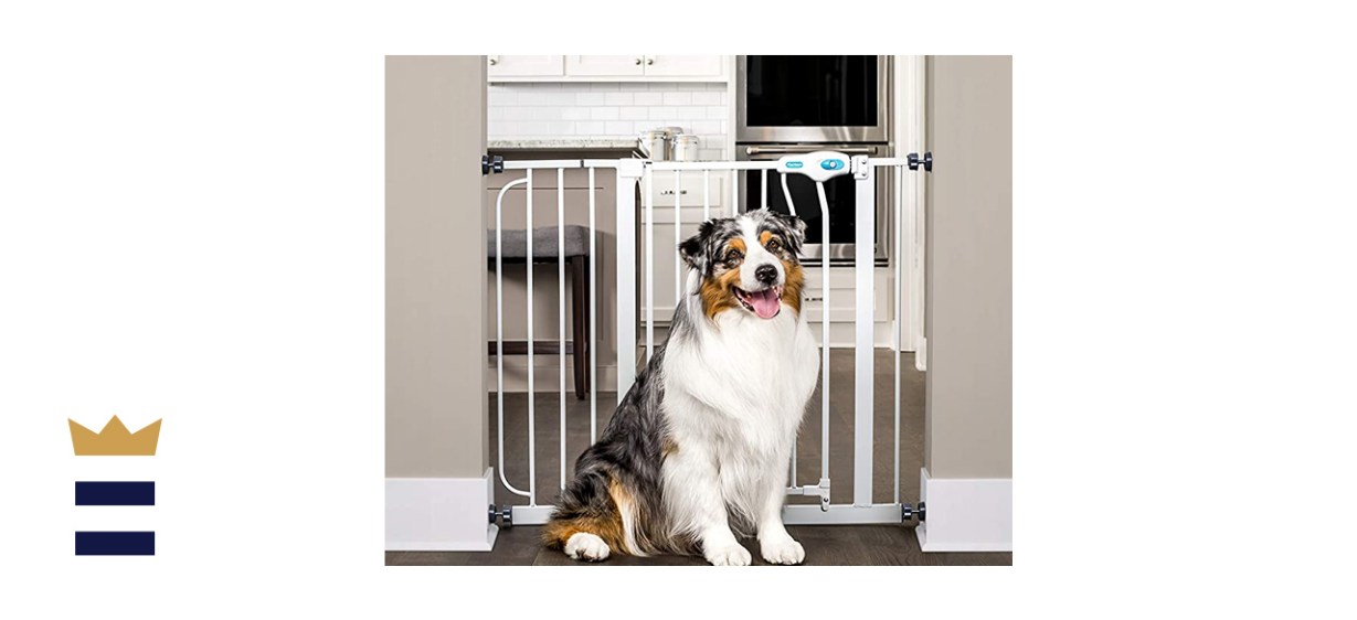 Carlson Pet Products Extra Wide Walk Through Gate with Small Cat Door