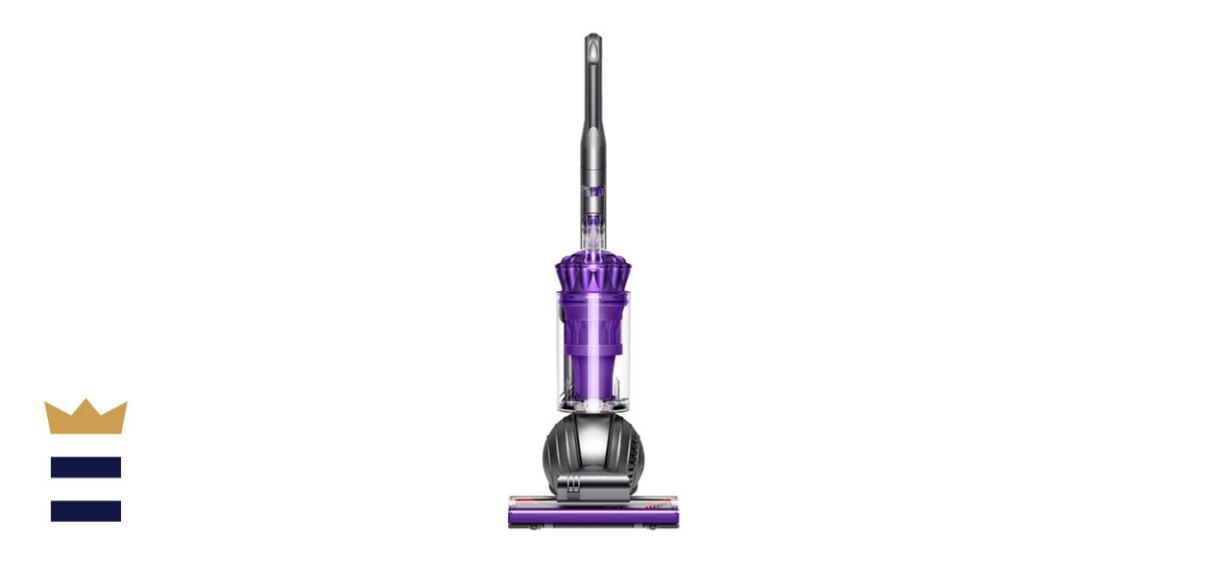 Dyson Ball Animal 2