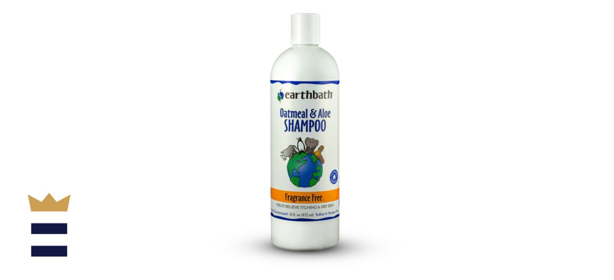 Earthbath Oatmeal &amp; Aloe Fragrance Free Dog &amp; Cat Shampoo