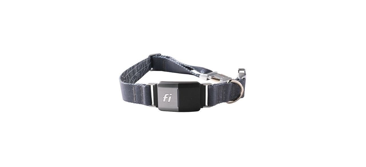 Gps dog hot sale collar petsmart