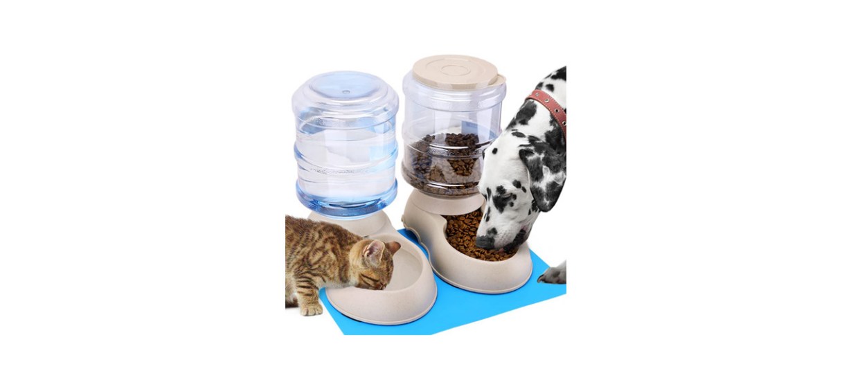 Best Pawzone 2-Pack Automatic Feeder With Water Dispenser