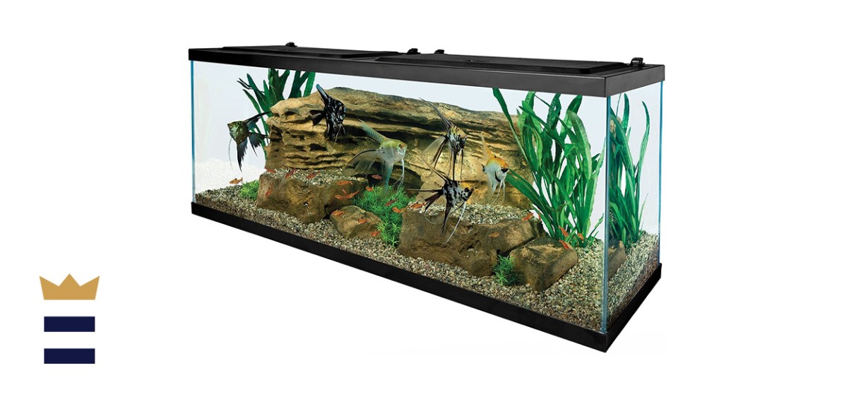 Tetra 55 Gallon Aquarium Kit 