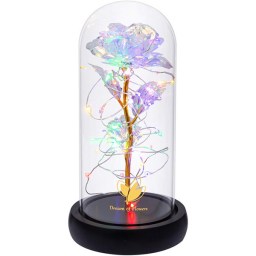 Dream of Flowers