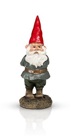 5 Best Garden Gnomes - Sept. 2022 - BestReviews