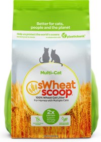 sWheat Scoop Natural Wheat Cat Litter