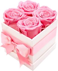 AROMEO Roses Preserved Roses