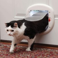 PetSafe Cat Door for Interior or Exterior Doors