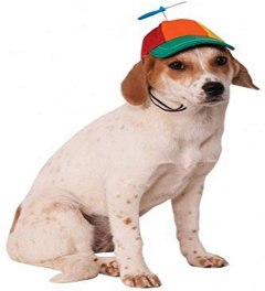 Rubie's Propeller Hat for Pets