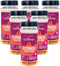 Aunt Fannie's Fly Punch