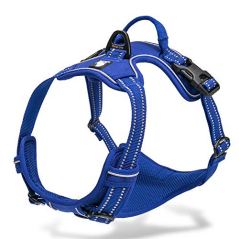 Chai Outdoor Adventure Dog Harness