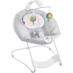 Fisher-Price See and Soothe Deluxe Bouncer Hearthstone