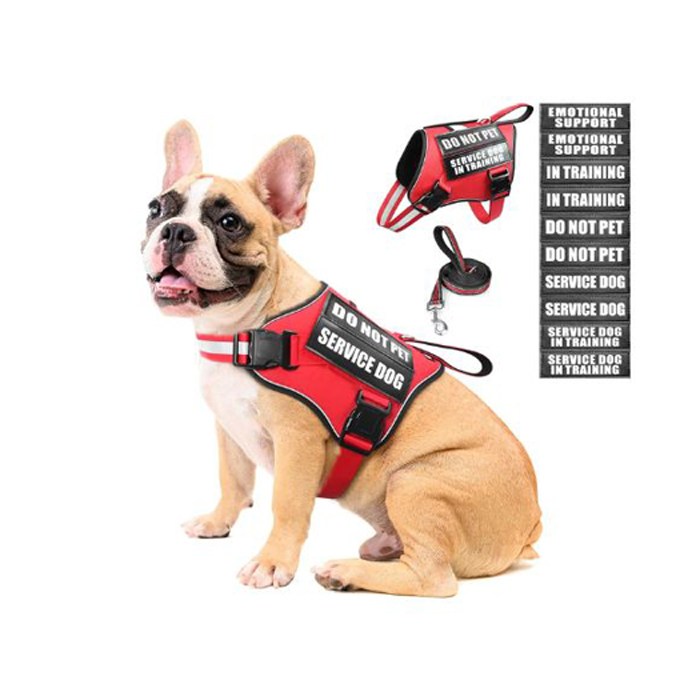MOOGROU Service Dog Vest, Harness, and Leash Set