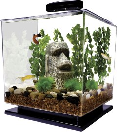 Tetra LED Cube Aquarium Kit